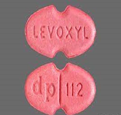 Levoxyl Market Size, Development & Demand Forecast to 2028