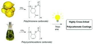 Limonene Polymers Market Analysis & Growth Outlook 2021-2028