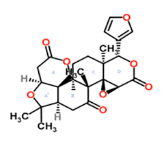 Limonin Market Trends, Share & Forecast Report to 2028
