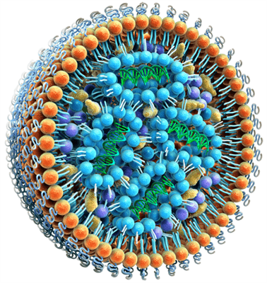 Lipid Nanoparticle Market Opportunity & Forecast to 2028