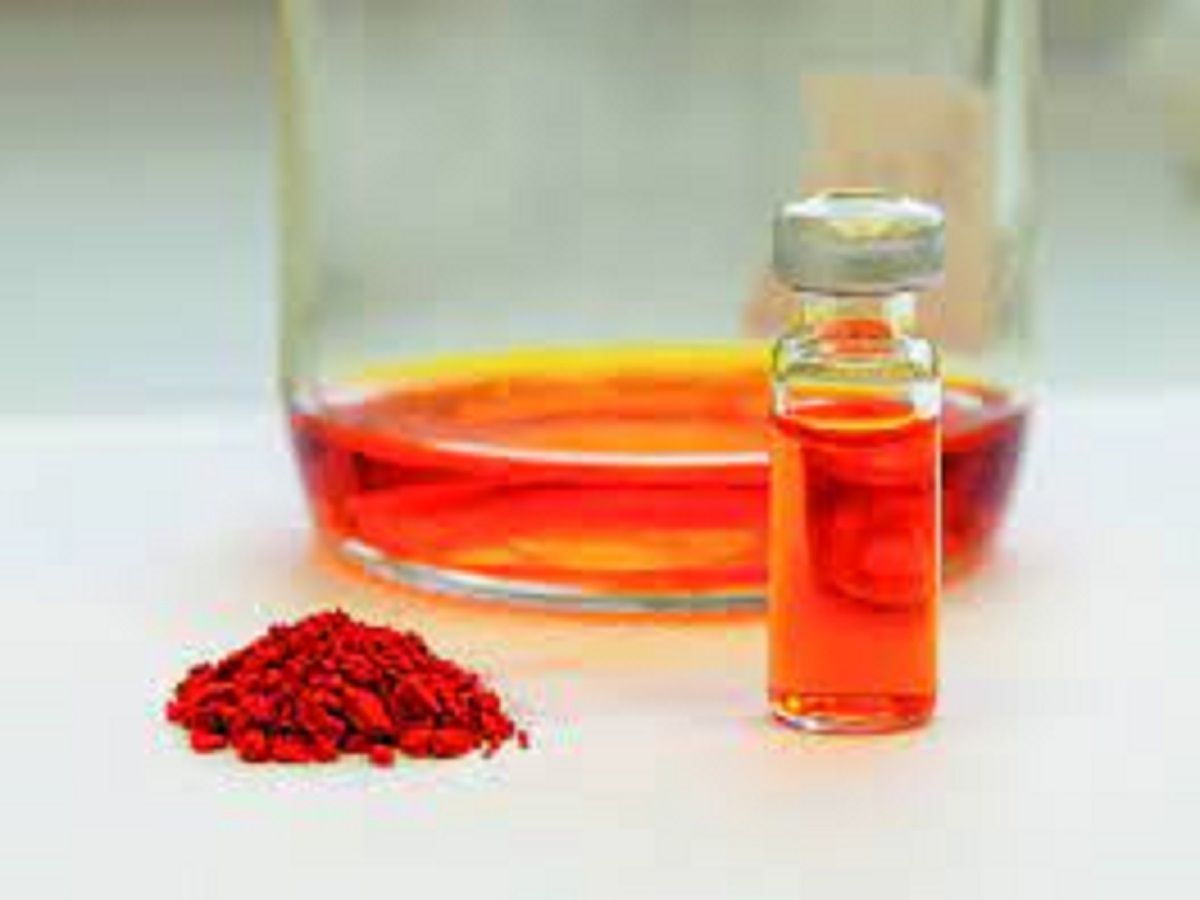 Lipid Rich Powder Market Size, Growing Trends and Industry Demand