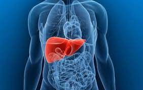 Liver Diseases Therapeutics Market Dynamics & Forecast to 2028
