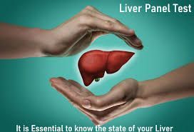 Liver Panel Testing Market Competitive Analysis Report