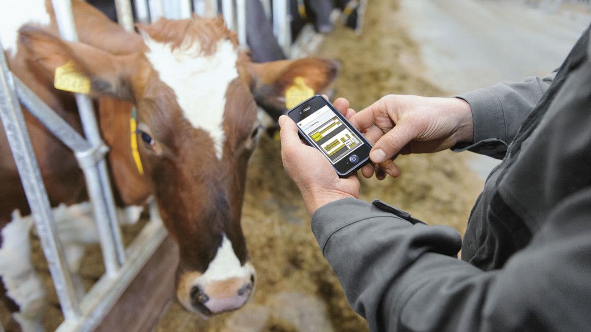 Livestock Monitoring and Identification Market Forecast Report
