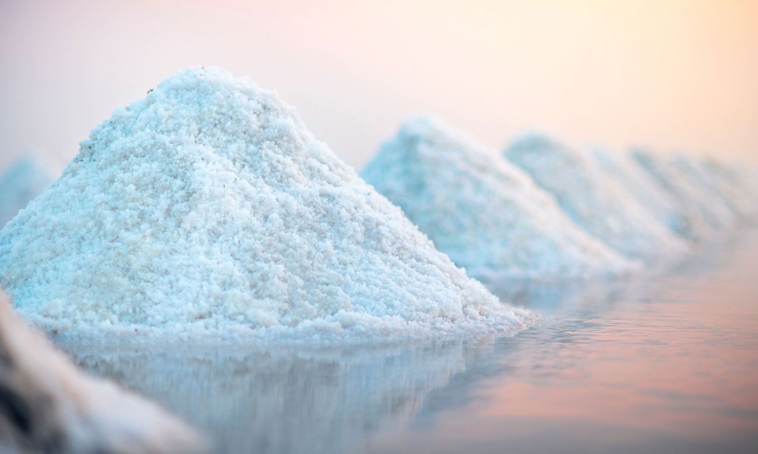 Low Sodium Sea Salt Market Share & Latest Trades Report to 2028