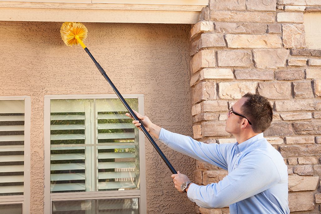 Hotels, Offices, and Warehouses—Why Every Business Needs Spider Control!
