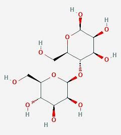 Mannobiose Market Analysis Report 2028 – Value Market Research