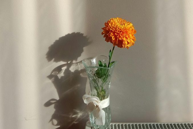 A Complete Guide to October Birth Flowers & Their Symbolism