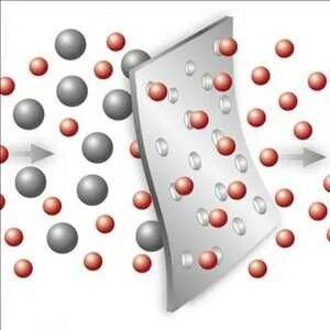 Membrane Separation Market Share to Eyewitness Growth by 2030