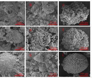 Metallocene Catalyst Market 2022 New Opportunities by 2028
