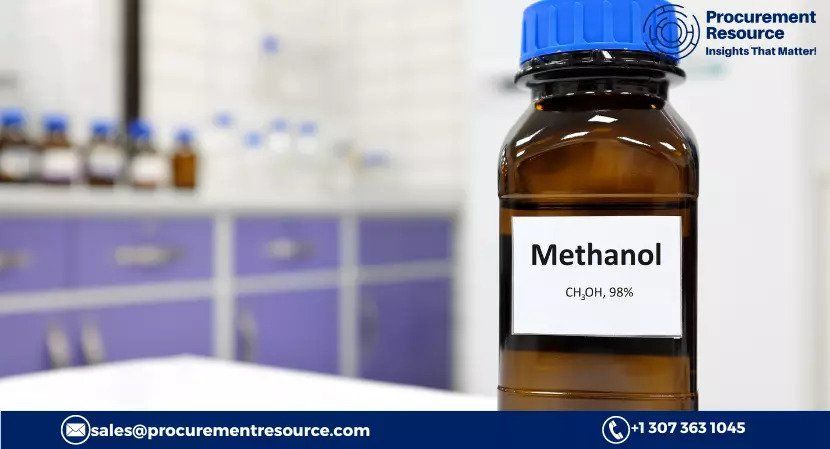 Methanol Production Cost Analysis Report, Raw Materials
