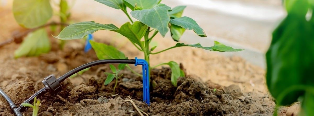 Micro Irrigation Systems Market Size & Forecast Report to 2028