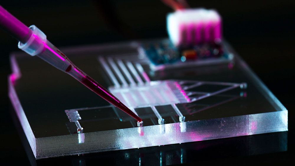 Microfluidic Devices Market 2022 Size, Dynamics & Forecast Report
