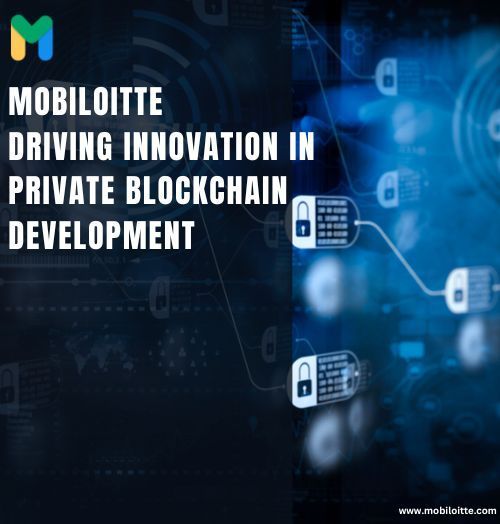 Private Blockchain Development Company