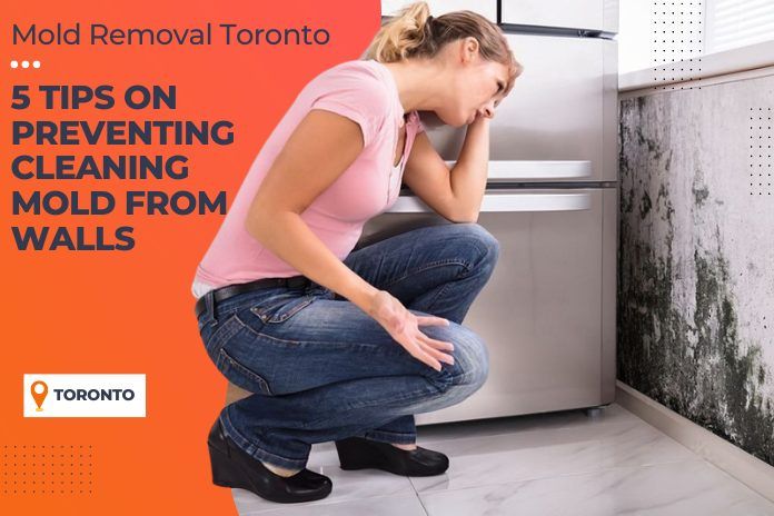 5 Tips on Preventing Cleaning Mold From Walls