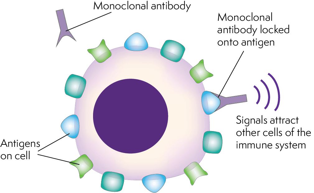 Monoclonal Antibodies Market Trends & Growth Outlook 2028
