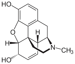 Morphine Hydrochloride Market Size, Analysis Report 2022-2028

