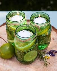 Mosquito Repellent Market 2022 Size, Growth & Forecast Report 
