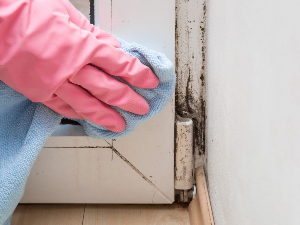 Complete Guide on What Is Disrepair in Housing?