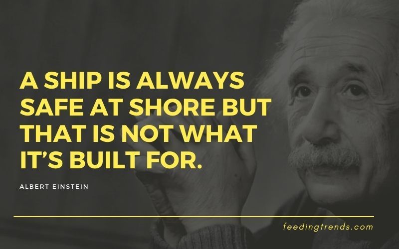 35 Albert Einstein Quotes On Success That will Excite and Surprise You