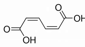 Muconic Acid Market 2022 - Top Key Players Report Till 2028