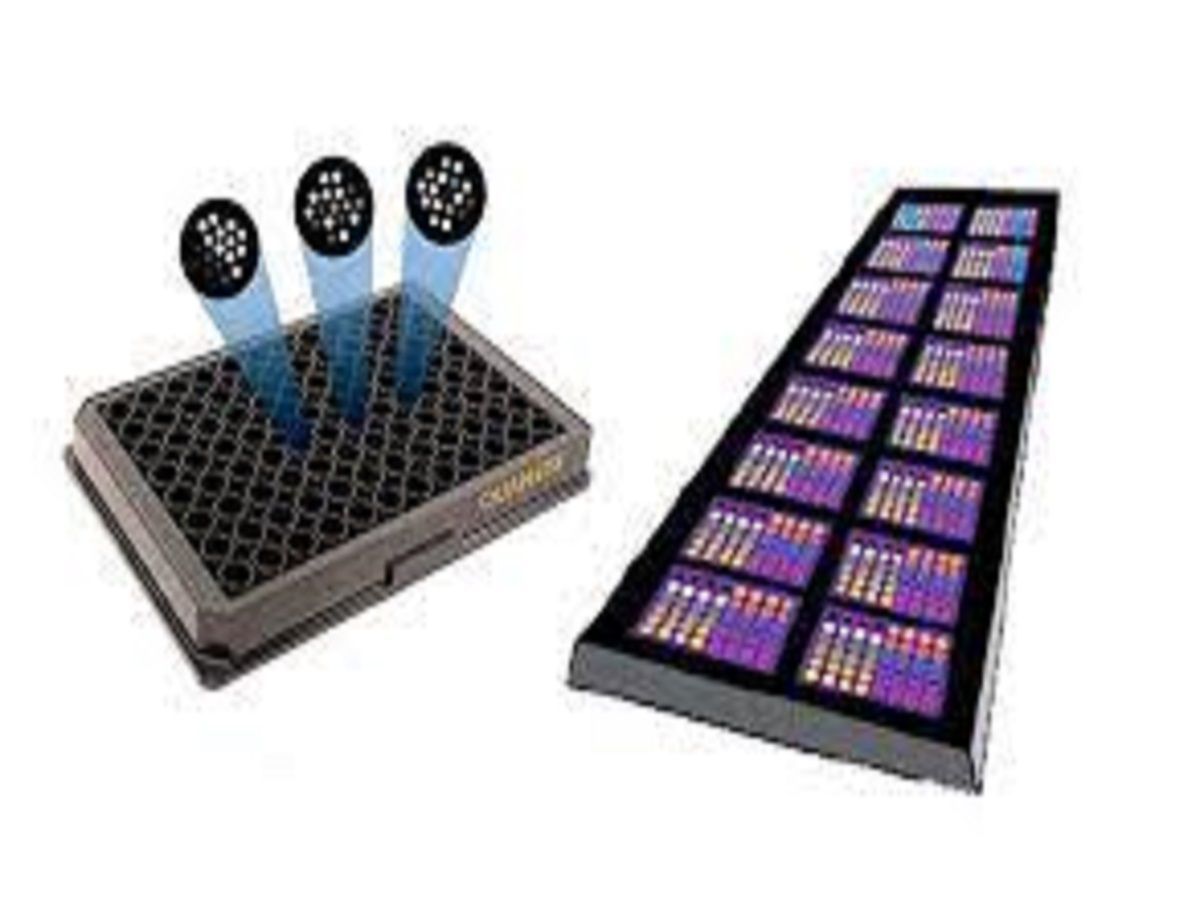 Multiplex Assays Market 2022: Covid-19 Impact Analysis Report