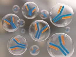 Multiplex Detection Immunoassay Market In-Depth Analysis Report 
