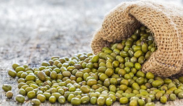 Mung Bean Protein Market 2022 Players and Industry Analysis 2028
