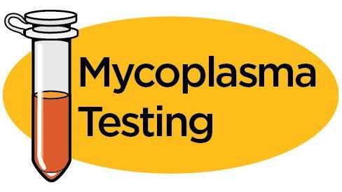 Mycoplasma Testing Market: Industry Outlook Research Report