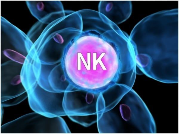 Natural Killer Cells Therapeutics Market Trends Report to 2028