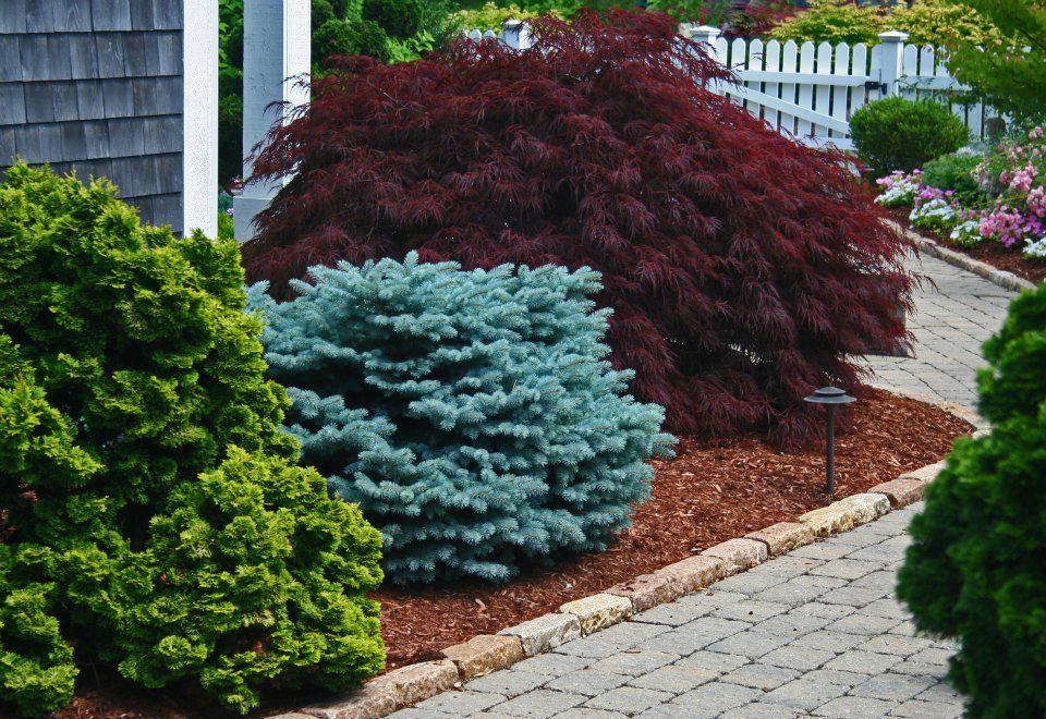 Natural Stone Contractors For Plymouth: 7 Expert Tips Before You Build