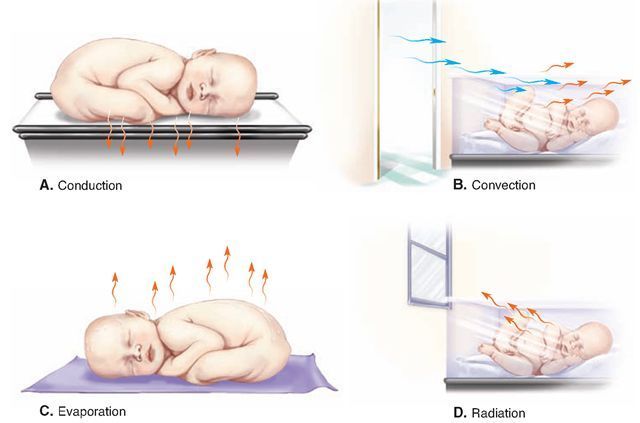 Neonatal Thermoregulation Market | Growth & Trends