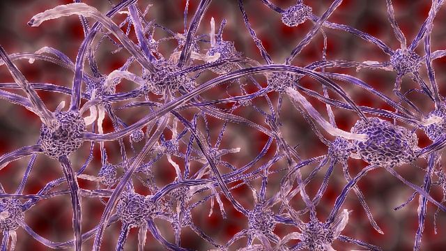 Nerve Repair and Regeneration Market 2022 to 2030 Business Growth