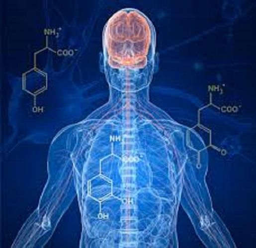 Neurological Biomarkers Market Report, 2022-2028 | Growth &Trends