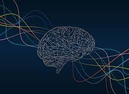 Neuromarketing Technology Market Size & Forecast Report
