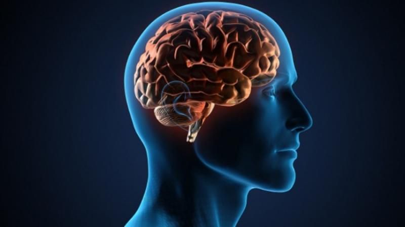Neurostimulation Devices Market Share and Growth Factors 2022-27
