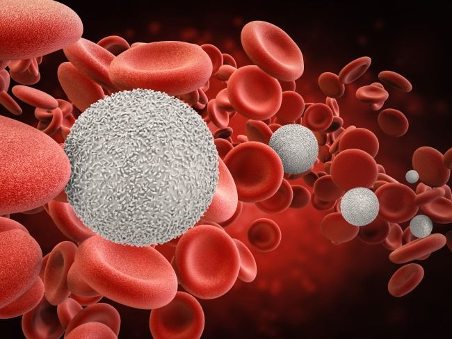 Neutropenia Treatment Market Trends & Forecast Report to 2028