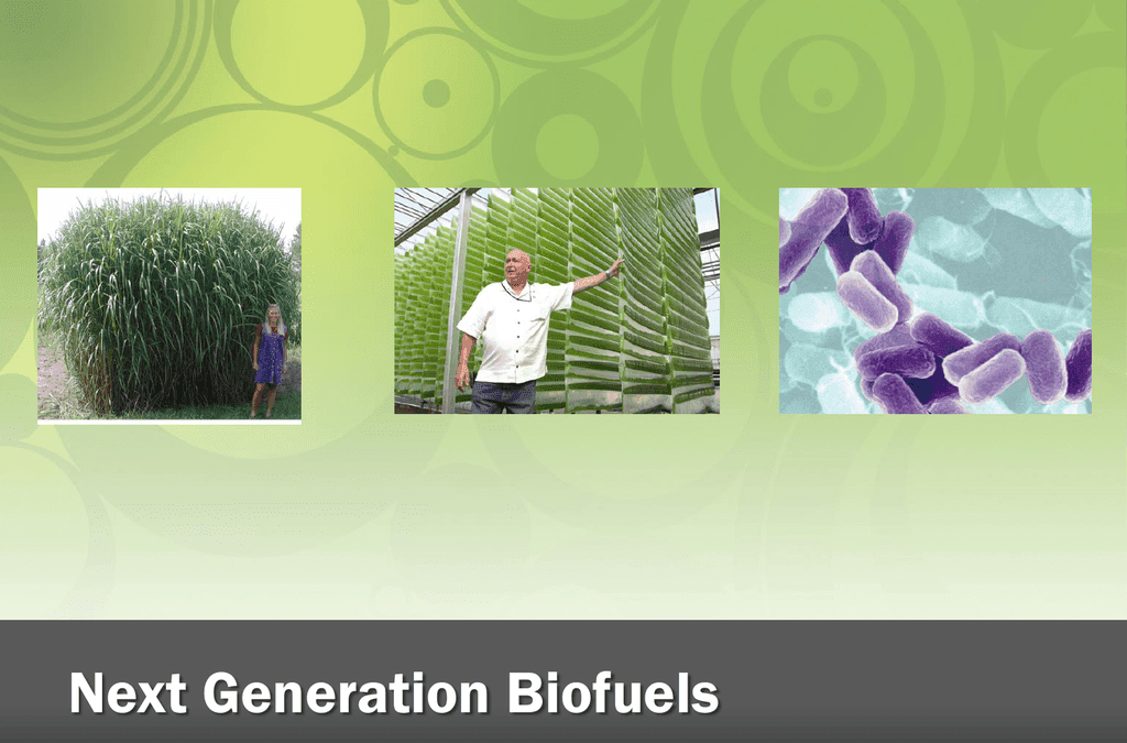 Next Generation Biofuel Market Growth & Global Forecast Report 