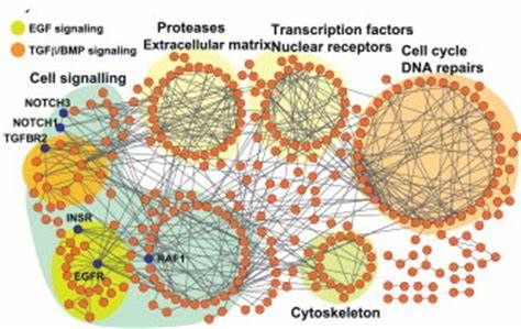 Next Generation Rna Sequencing Market Report 2021-2028