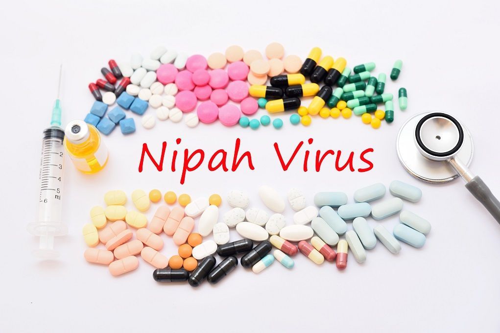 Nipah Virus Treatment Market 2022 - Top Key Players Analysis 2028