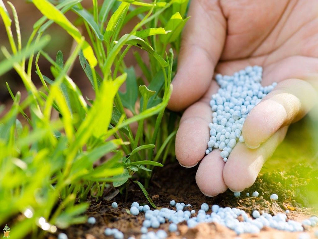 Organic Fertilizers Market Regional Overview & Forecast to 2028
