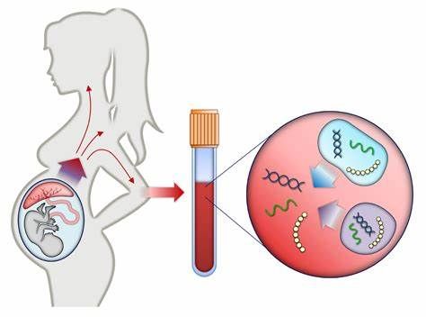 Noninvasive Prenatal Testing Market | Growth & Trends