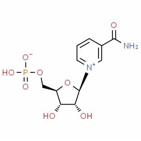 Beta-Nicotinamide Mononucleotide Market