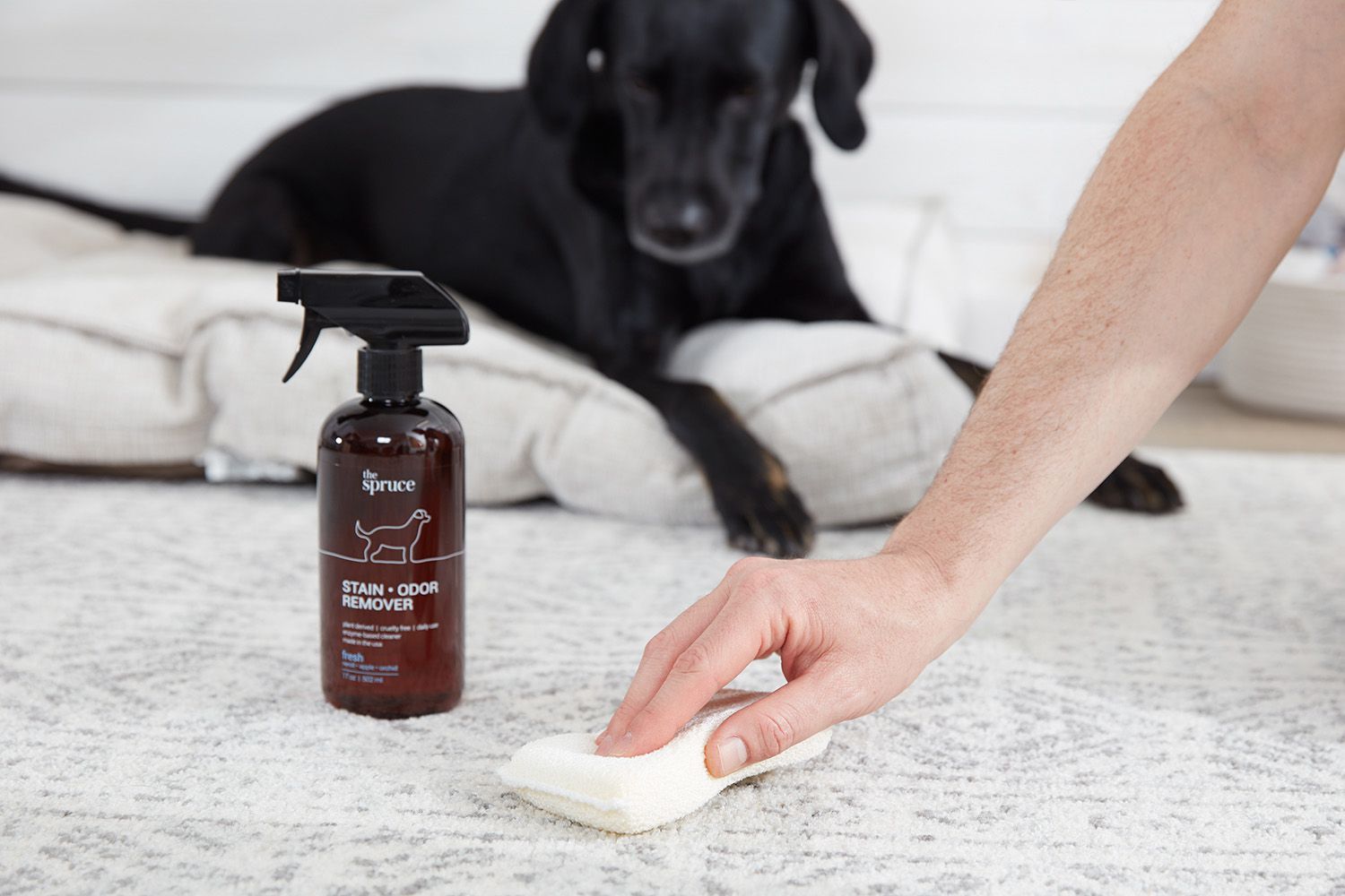 Revive Spaces: American Canyon Ca Odor Removal Experts