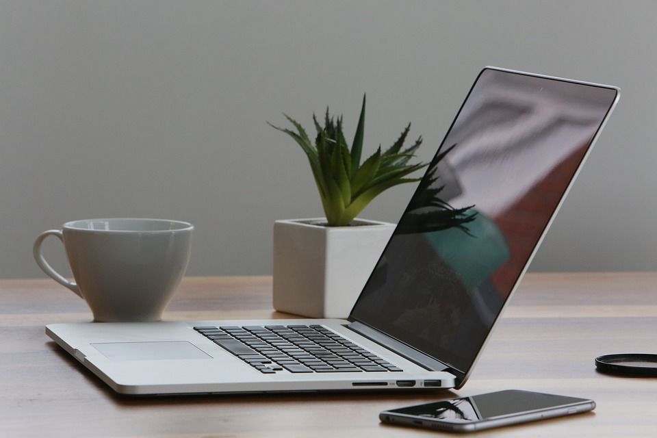 9 Best Office Plants That Grow in Fluorescent Lights