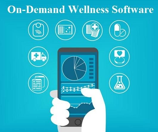 On-Demand Wellness Software Market 2022 Size, Growth Factors 2028