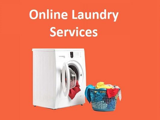 Online Laundry Services Market Report, Latest Trends Forecast