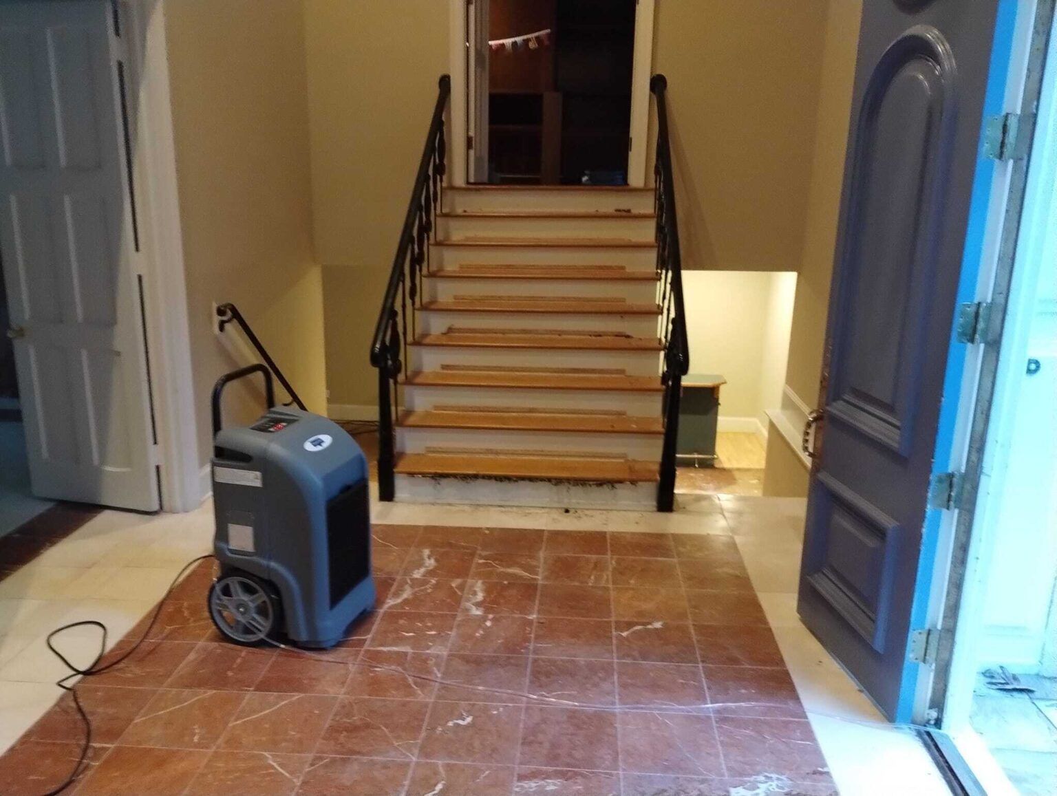 Difference Explained Mold Removal & Mold Remediation in Georgia