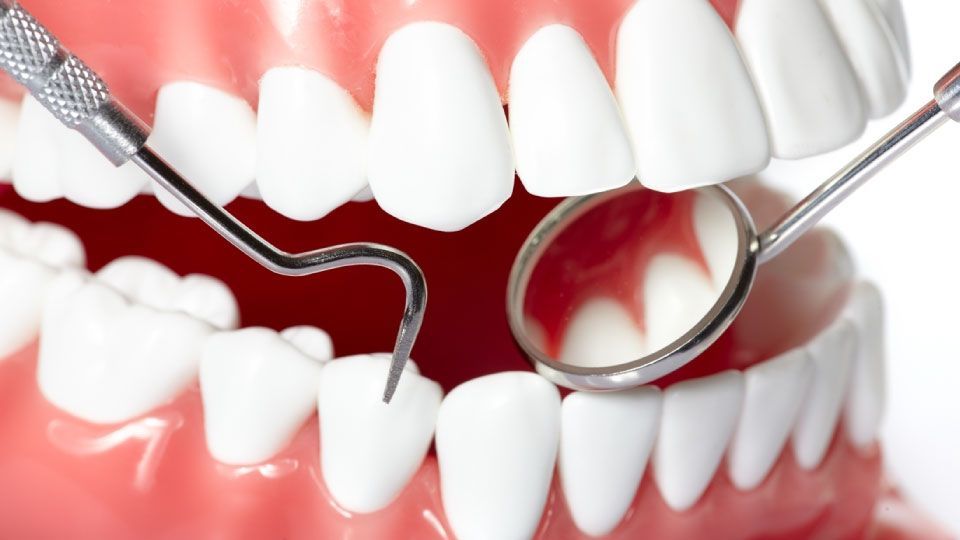 Oral Hygiene Market Key Players, Share & Forecast Report to 2028