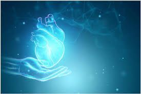 Organ Care Products Market Size, Analysis and Forecast to 2028
